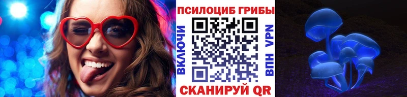 где найти   Белокуриха  Псилоцибиновые грибы GOLDEN TEACHER 